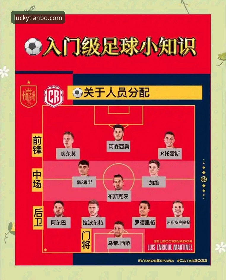 阿根廷世界杯前景分析：帕尼切利伤退影响与球迷观赛指南