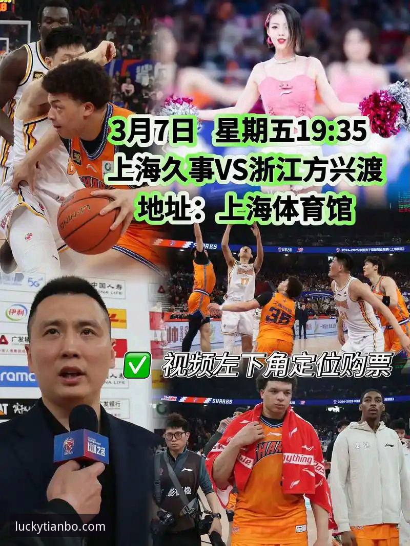 上海男篮十二连胜背后的战术体系与平台观赛体验深度评测